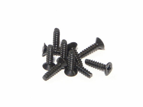 Senkkopfschneidschraube 3x12mm (6ST)