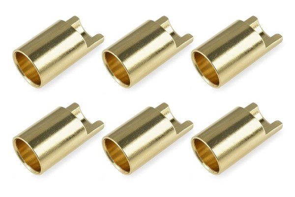 Goldbuchse 6,5mm, 6 Stück