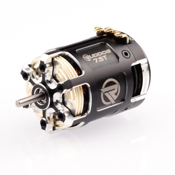 RUDDOG 10,5T RP542 Sensored Motor (DMC-legal bis 2026)