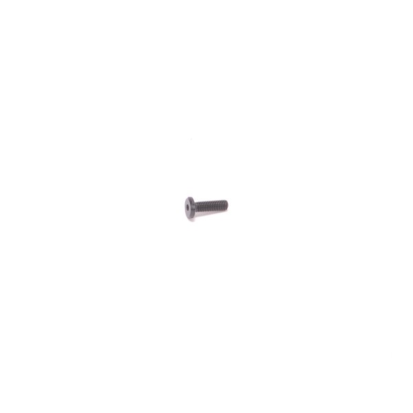 M3x10 Low Profile Head Screw (Servo Mt.)- CAT 2000