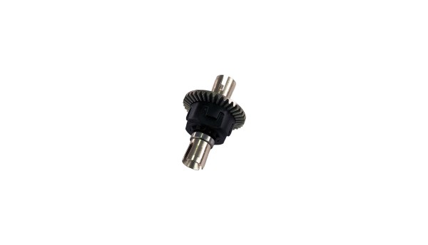 Hinteres Differential MTX10