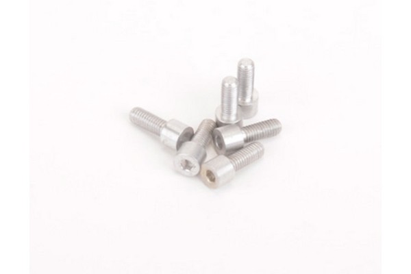 Alloy Rear Wheel Screws - Atom/Eclipse (pk6)