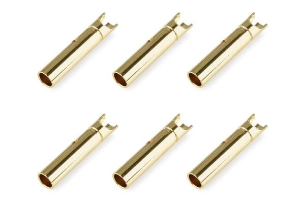 Goldbuchse Ø2mm, 6 Stück