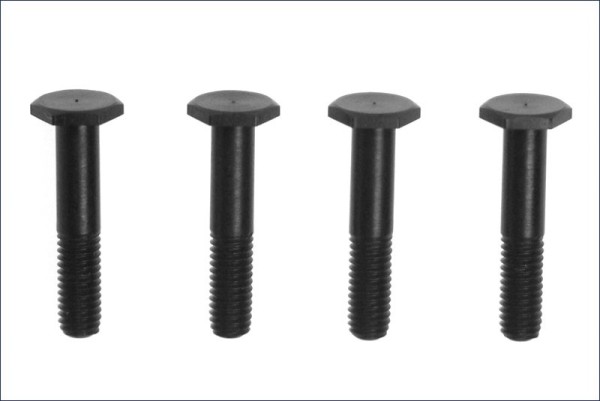 Montagebolzen Double Disk Bremse (4)