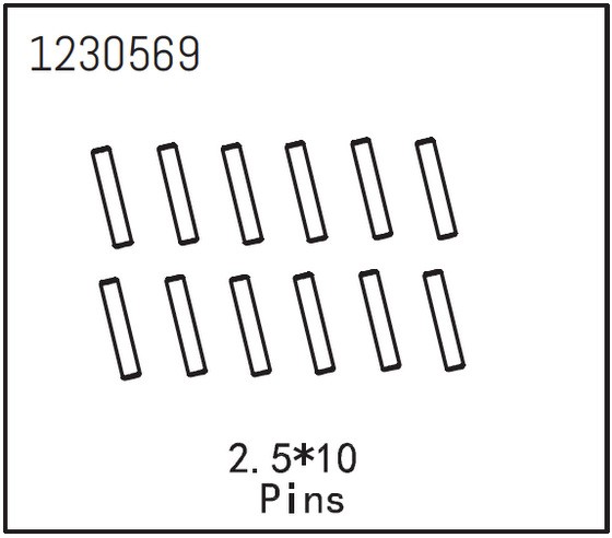 Pins 2.5*12 (12 St.)