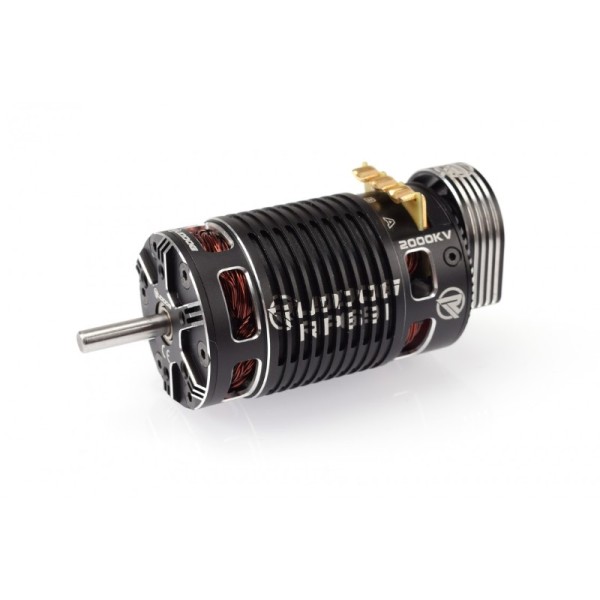 2000kV RP691 Sensored Brushless Motor 1:8, RUDDOG