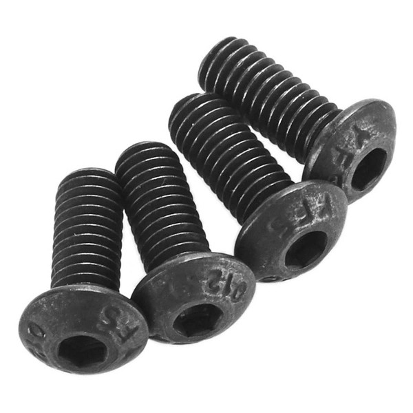 Linsenkopfschraube M4x10mm (4)